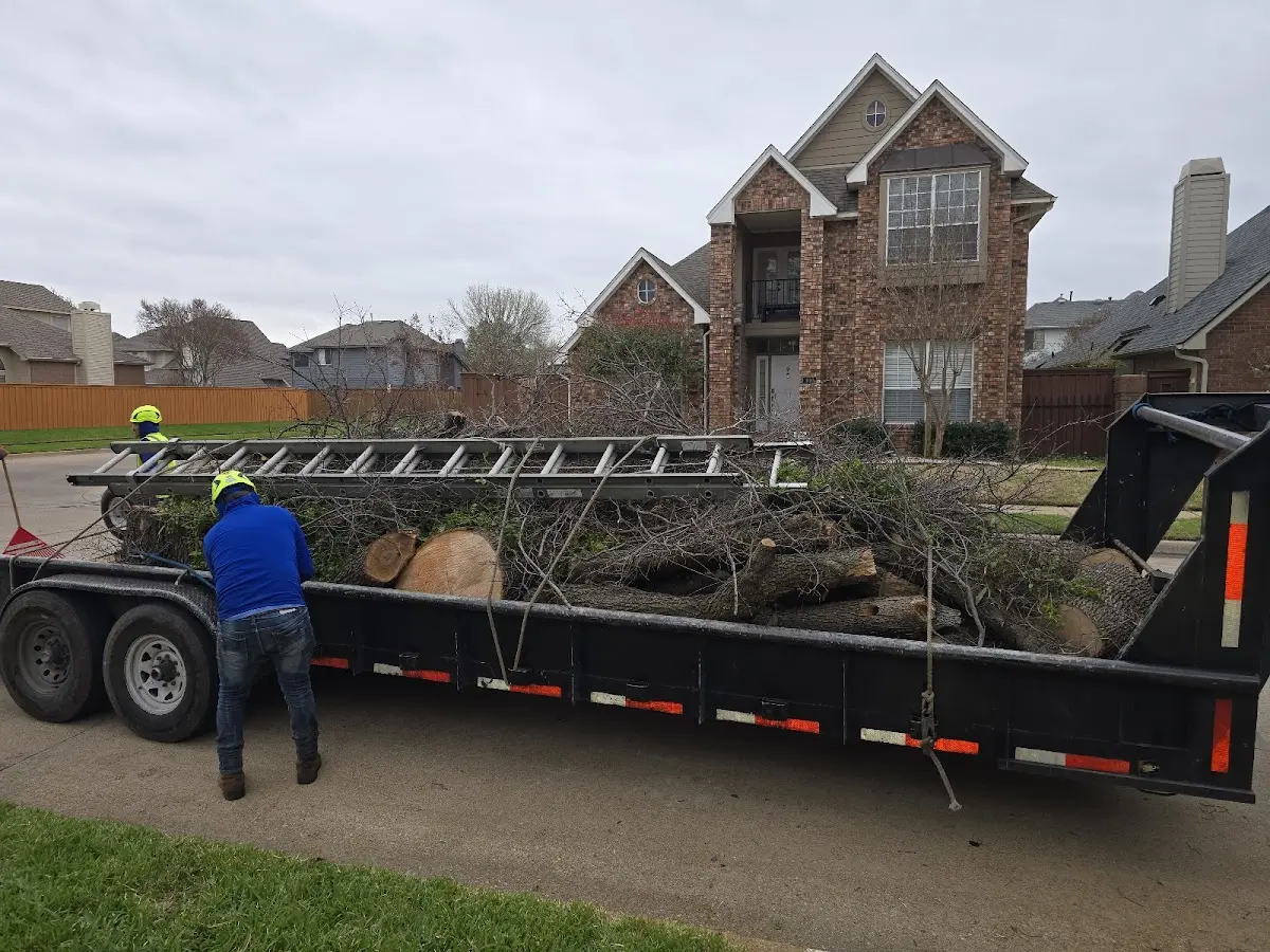 Expert Tree Pest Control with proper safety equipment in Nyack
